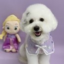 그루밍무무 이미지