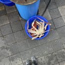 NR-6[경강로]-하-127 | 강릉여행 - 스카이베이 경포 후기,일출보기 성공, 엄지네꼬막비빔밥