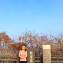 스코프키친