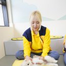 옐레드 애견유치원 & 애견호텔 광명점 이미지