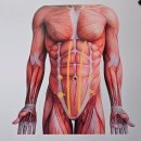 블랙핏 | 미아동PT 찾는다면? 골반·고관절 고민으로 다녀온 블랙핏PT샵 미아사거리점 솔직 후기