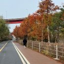 율곡천제방L | 12월 정산 / 비상비상 활동량이 급격히 줄어든다