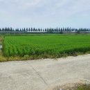 푸른들행정사무소 이미지