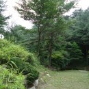 스마일 캠핑장 이미지