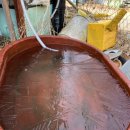 아곡농장 이미지