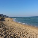 정동목장 이미지