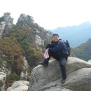 까페능소화 이미지