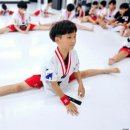 양주품태권도장 | 양주 태권도 어린이들을 위한 최상의 선택