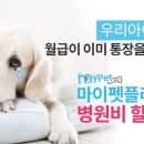 마이펫 동물병원 이미지