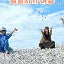 서포리웰빙산책로 (덕적도) 네이버블로그