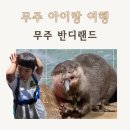 무주농장 | 무주 반디랜드 아이랑 가볼만한곳! 곤충박물관 수달 먹이주기까지! 가성비좋은 관광지 솔직후기