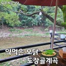 장골가든 | 서울근교 계곡식당 추천 퇴촌 맛집 약먹은오닭도장골계곡 힐링코스 후기