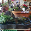 24시교동촌콩나물해장국밥 이미지