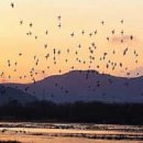 가든민박아리랑 이미지