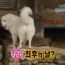 드립 Daum카페