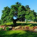 느릅농장 이미지