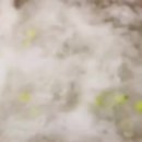 신정현농장 이미지