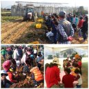 전주북초등학교 이미지