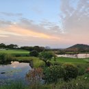 에스케이핀크스주식회사 이미지