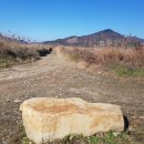 남한강자전거길 16 이미지