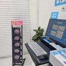 사우로 L 이미지