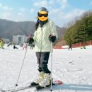 슈페리어짱 PC방 | [⛷️스키] 비발디파크 스키장|소노문|셔틀버스|찐렌탈샵|꿀팁