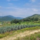 점동농장 이미지