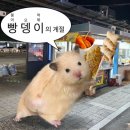 [11]빵뎅이! 의 계절..🐟🍞
