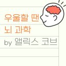 코브(KORB) 이미지