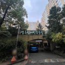 압구정-205 이미지