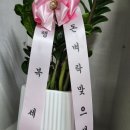 THE대박공인중개사사무소 이미지