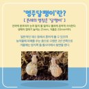일동하늘 어린이집 | [명주 달팽이 키우기] 달팽이 키우기 키트 구입 후기