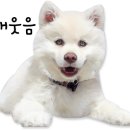 유앤동물의료센터 이미지
