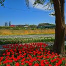 선사유적지 이미지