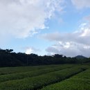 산방산에 펜션 이미지