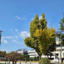 영월옹심이칼국수 | 주안동맛집 영월옹심이칼국수 뜨끈하게 즐길 때