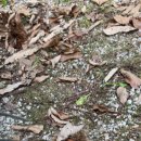 밤나무골 농장 이미지