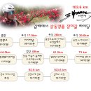 김해에서 상동 장미길 103.6km라이딩 이미지