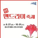 섬 맨드라미 축제 이미지