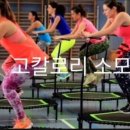 비채나점핑
