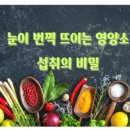마인드허브메디