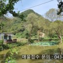 작은연못낚시터 이미지