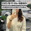 애플헤어 | [대전/동구] 대동 레이어드펌 어뉴 애플헤어 솔직후기