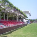 등나무 운동장 이미지