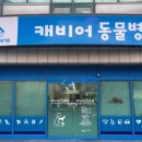 논산동물병원 이미지