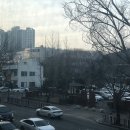 머뭄힐링카페