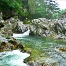 숲속의 계곡 이미지