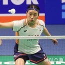 안세영 베트민턴 선수 호주대회 또 우승-올해만 세계대회 10번 우승 이미지