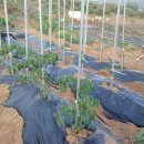 세희농장 이미지