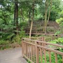 용마산 자락길 코스 이미지